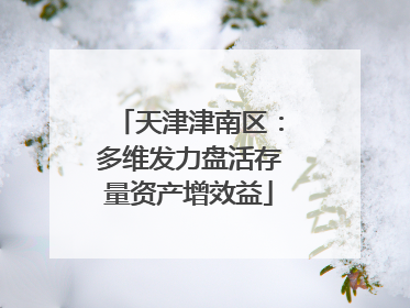 天津津南区：多维发力盘活存量资产增效益